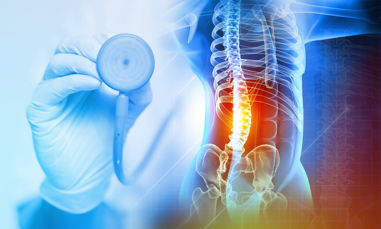 Orthopaedist check and analysis the back pain, highlighted in red, x-ray view. 3d illustration